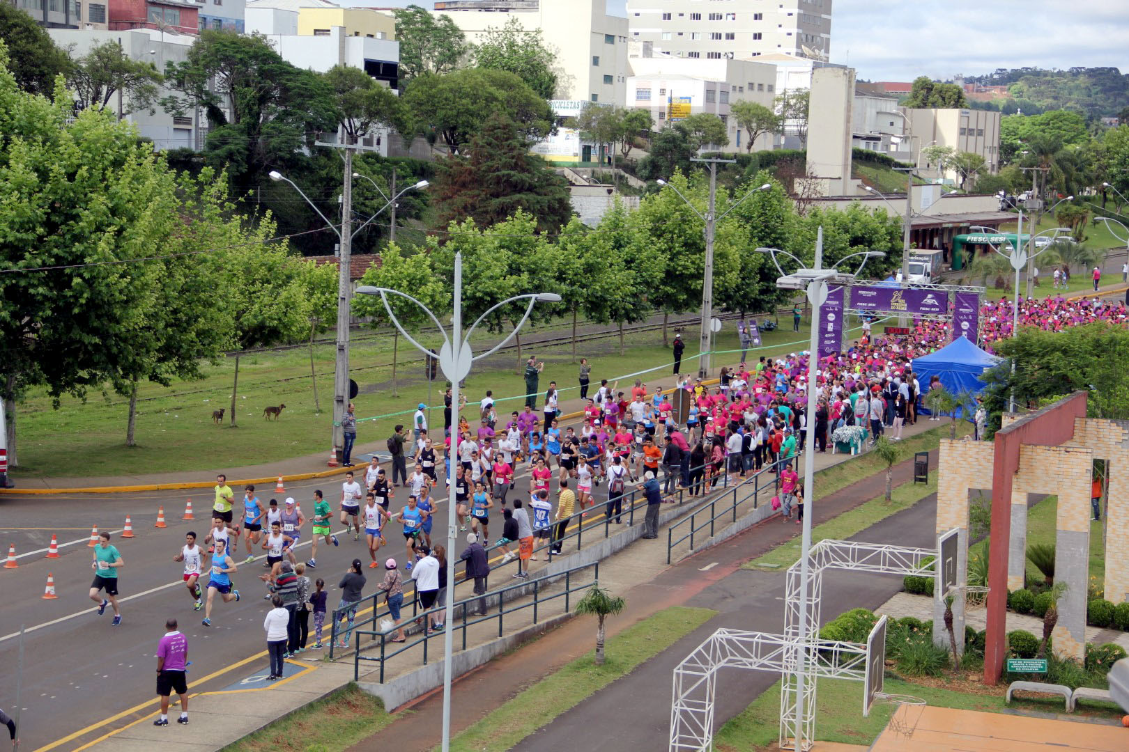 Imagem 3248 no node 5370