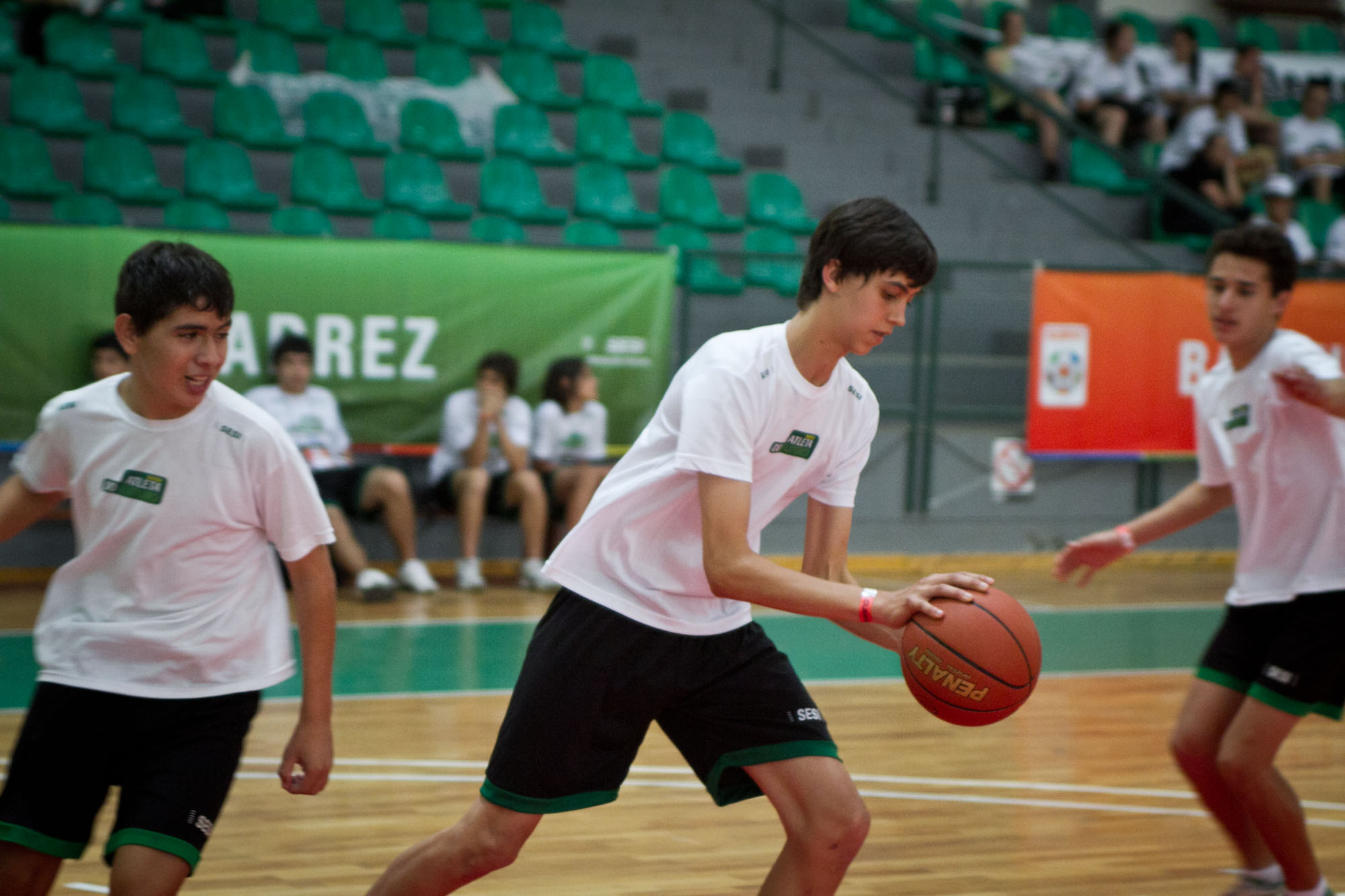 Imagem 794 no node 2368