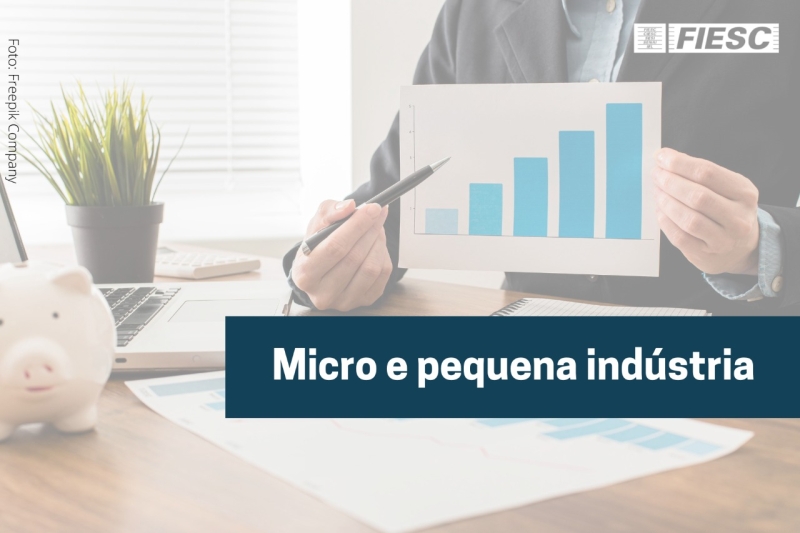 Câmara de Desenvolvimento das Micro e Pequenas Indústrias apresenta olhar técnico sobre o assunto