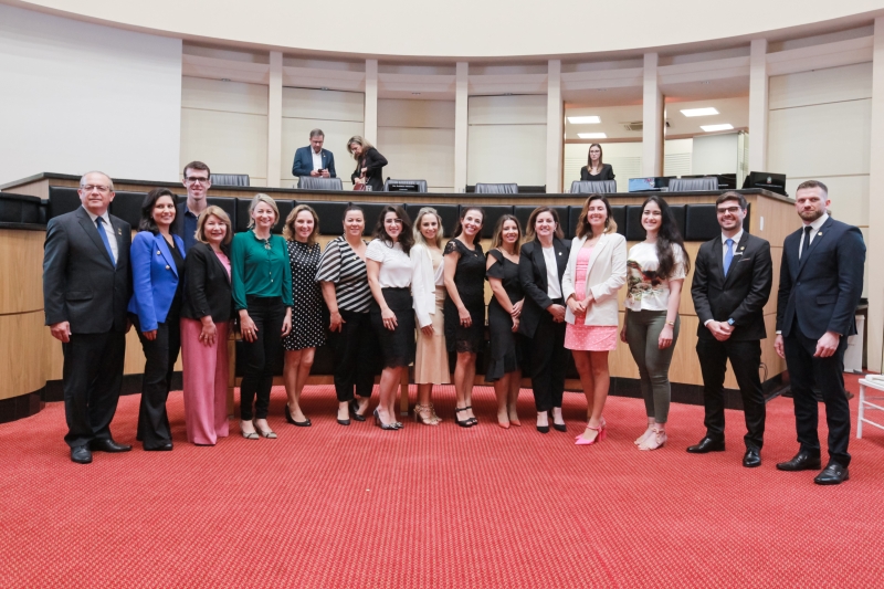 Integrantes da Comissão Mista de Responsabilidade Social. Foto: Vicente Schmitt/Agência AL