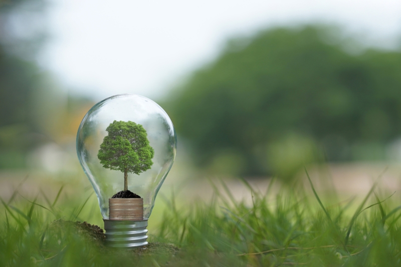 Celesc realiza workshop da Chamada Pública de Projetos de Eficiência Energética