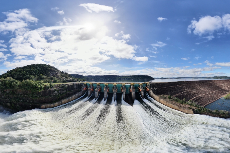 Indústrias de alimentos e bebidas destacam-se na migração para mercado livre