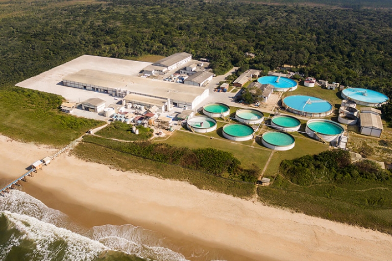 Buschle & Lepper é premiada por projeto voltado à preservação da fauna silvestre