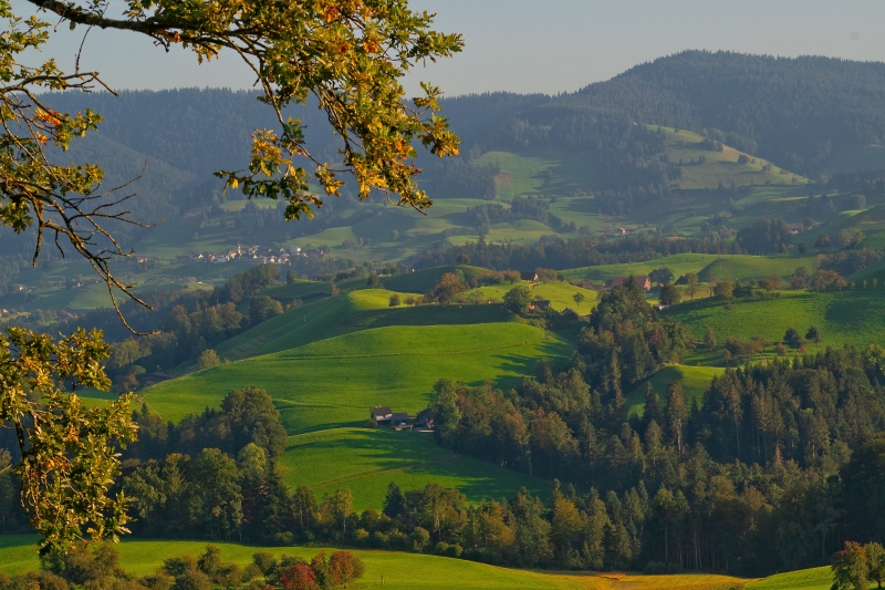 Vetos a projeto que moderniza licenciamento ambiental são retrocesso, diz FIESC