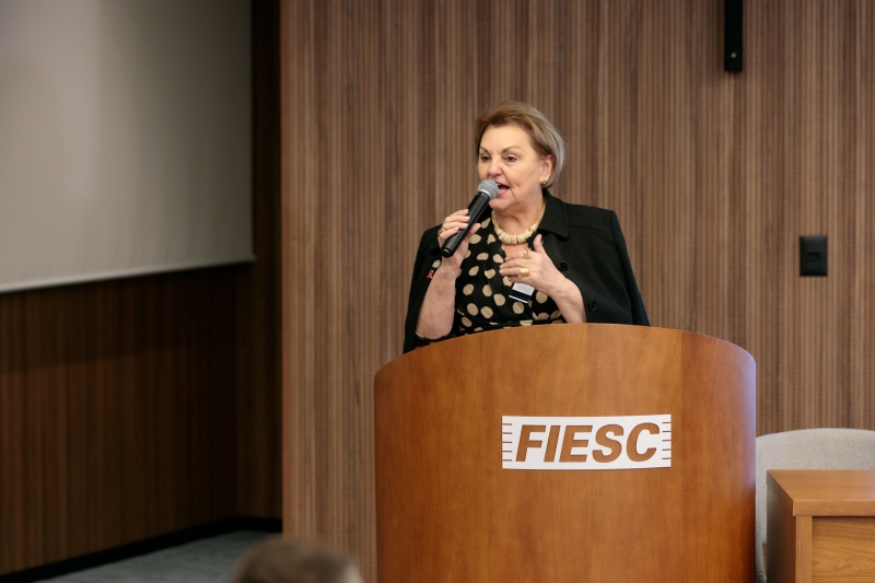 Maria Debatin falou sobre o Programa de Incentivo à Cultura de SC (Victor Vec/ MinC)